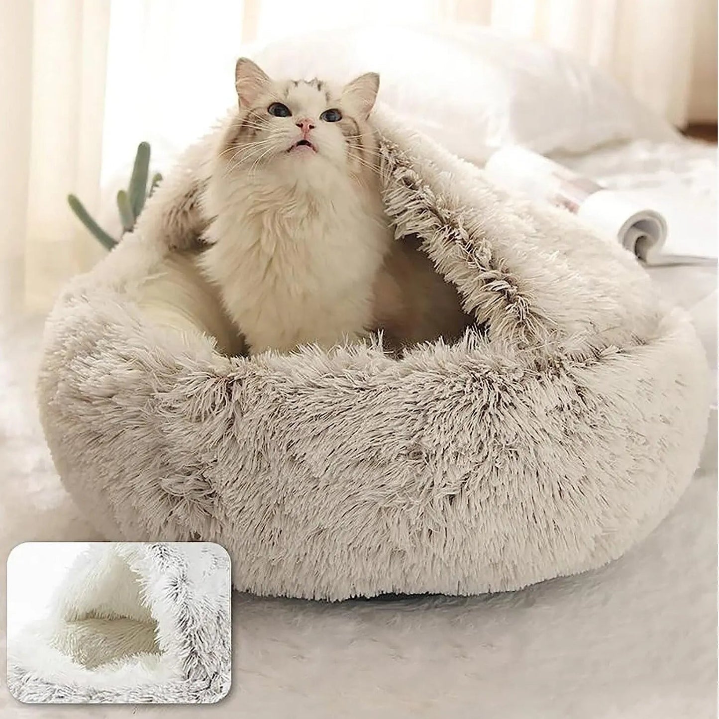 Jz8SFegDQh7Ow4x.jpg